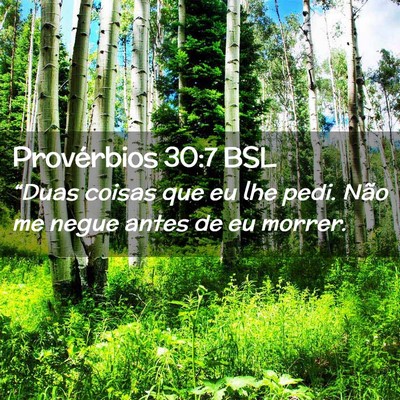 Picture 02 - Provérbios 30:7 BSL - “Duas coisas que eu lhe pedi. Não me negue - Bible Verse Picture