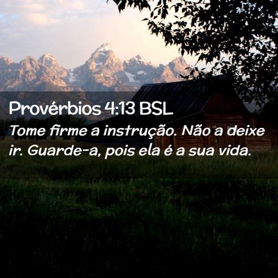 Picture 02 - Provérbios 4:13 BSL - Tome firme a instrução. Não a deixe ir. - Bible Verse Picture