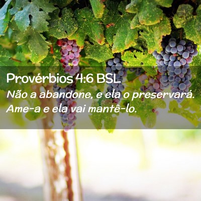 Picture 02 - Provérbios 4:6 BSL - Não a abandone, e ela o preservará. Ame-a e ela - Bible Verse Picture