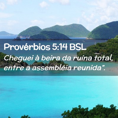 Picture 02 - Provérbios 5:14 BSL - Cheguei à beira da ruína total, entre a - Bible Verse Picture