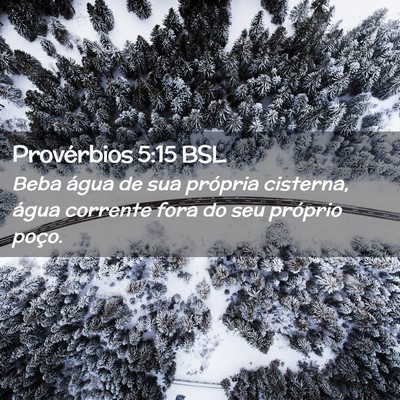Picture 02 - Provérbios 5:15 BSL - Beba água de sua própria cisterna, água - Bible Verse Picture