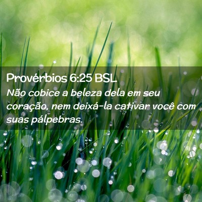Picture 02 - Provérbios 6:25 BSL - Não cobice a beleza dela em seu coração, nem - Bible Verse Picture