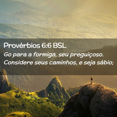 Picture 02 - Provérbios 6:6 BSL - Go para a formiga, seu preguiçoso. Considere - Bible Verse Picture