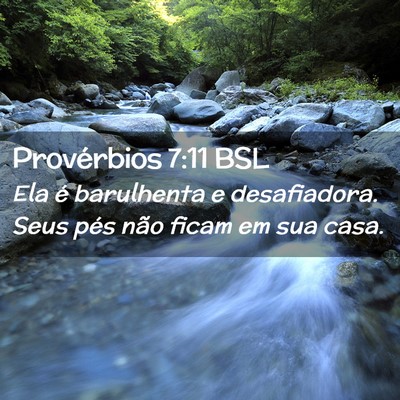 Picture 02 - Provérbios 7:11 BSL - Ela é barulhenta e desafiadora. Seus pés não - Bible Verse Picture