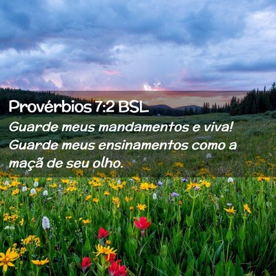 Picture 02 - Provérbios 7:2 BSL - Guarde meus mandamentos e viva! Guarde meus - Bible Verse Picture