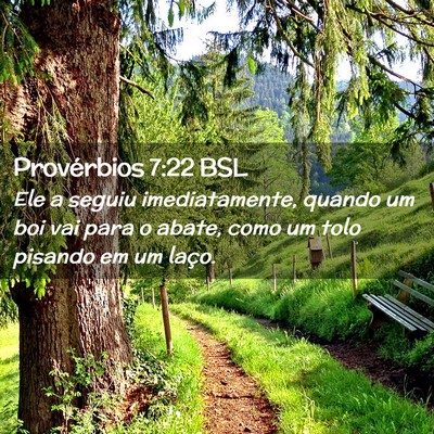 Picture 02 - Provérbios 7:22 BSL - Ele a seguiu imediatamente, quando um boi vai - Bible Verse Picture