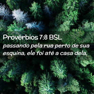 Picture 02 - Provérbios 7:8 BSL - passando pela rua perto de sua esquina, ele foi - Bible Verse Picture