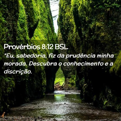 Picture 02 - Provérbios 8:12 BSL - “Eu, sabedoria, fiz da prudência minha morada. - Bible Verse Picture