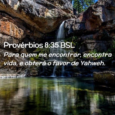 Picture 02 - Provérbios 8:35 BSL - Para quem me encontrar, encontra vida, e obterá - Bible Verse Picture