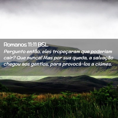 Picture 02 - Romanos 11:11 BSL - Pergunto então, eles tropeçaram que poderiam - Bible Verse Picture