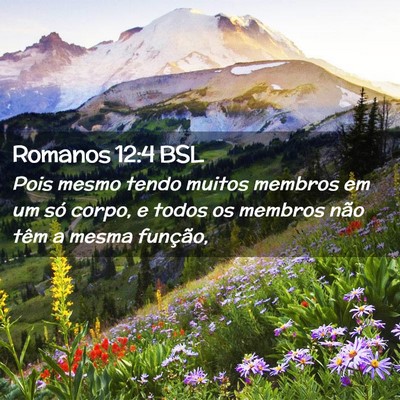 Picture 02 - Romanos 12:4 BSL - Pois mesmo tendo muitos membros em um só corpo, - Bible Verse Picture