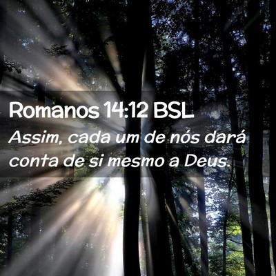 Picture 02 - Romanos 14:12 BSL - Assim, cada um de nós dará conta de si mesmo a - Bible Verse Picture