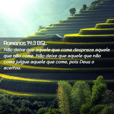 Picture 02 - Romanos 14:3 BSL - Não deixe que aquele que come despreze aquele - Bible Verse Picture