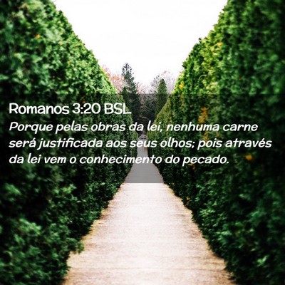 Picture 02 - Romanos 3:20 BSL - Porque pelas obras da lei, nenhuma carne será - Bible Verse Picture