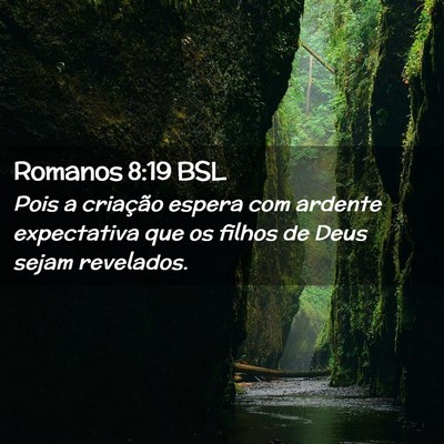 Picture 02 - Romanos 8:19 BSL - Pois a criação espera com ardente expectativa - Bible Verse Picture