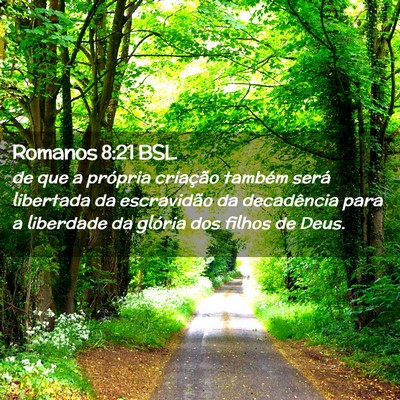 Picture 02 - Romanos 8:21 BSL - de que a própria criação também será - Bible Verse Picture