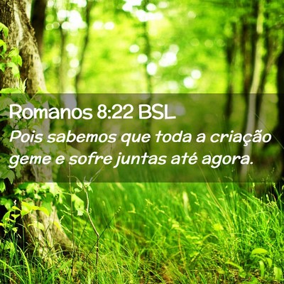 Picture 02 - Romanos 8:22 BSL - Pois sabemos que toda a criação geme e sofre - Bible Verse Picture