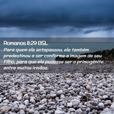Picture 02 - Romanos 8:29 BSL - Para quem ele antepassou, ele também predestinou - Bible Verse Picture