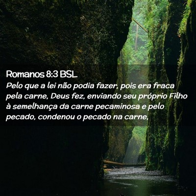 Picture 02 - Romanos 8:3 BSL - Pelo que a lei não podia fazer, pois era fraca - Bible Verse Picture