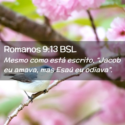 Picture 02 - Romanos 9:13 BSL - Mesmo como está escrito, “Jacob eu amava, mas - Bible Verse Picture