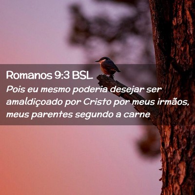 Picture 02 - Romanos 9:3 BSL - Pois eu mesmo poderia desejar ser amaldiçoado - Bible Verse Picture