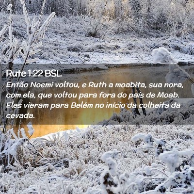 Picture 02 - Rute 1:22 BSL - Então Noemi voltou, e Ruth a moabita, sua nora, - Bible Verse Picture