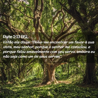 Picture 02 - Rute 2:13 BSL - Então ela disse: “Deixe-me encontrar um favor - Bible Verse Picture
