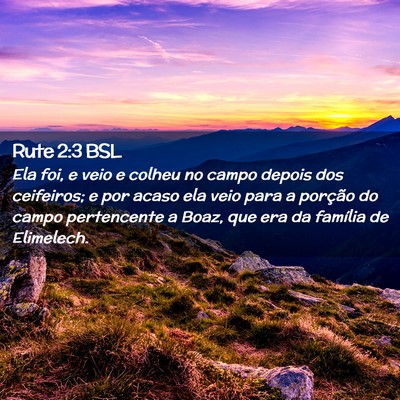 Picture 02 - Rute 2:3 BSL - Ela foi, e veio e colheu no campo depois dos - Bible Verse Picture