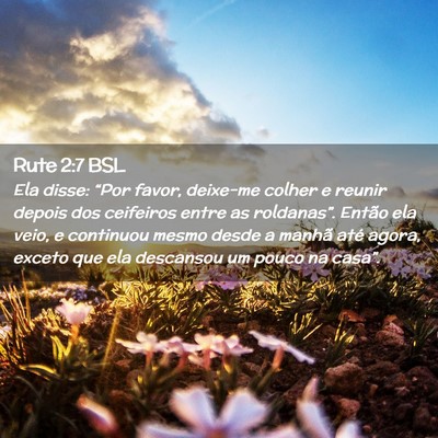 Picture 02 - Rute 2:7 BSL - Ela disse: “Por favor, deixe-me colher e reunir - Bible Verse Picture