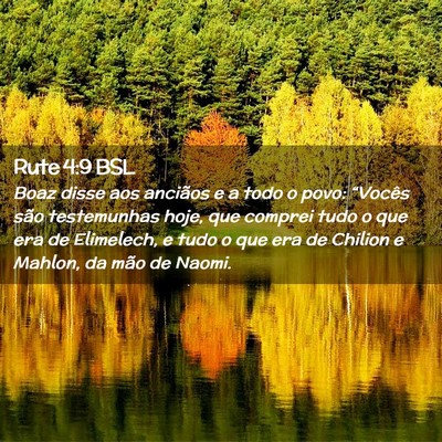 Picture 02 - Rute 4:9 BSL - Boaz disse aos anciãos e a todo o povo: - Bible Verse Picture