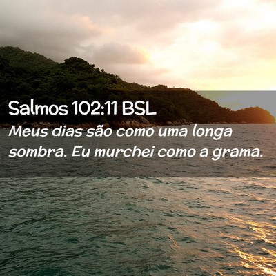 Picture 02 - Salmos 102:11 BSL - Meus dias são como uma longa sombra. Eu murchei - Bible Verse Picture