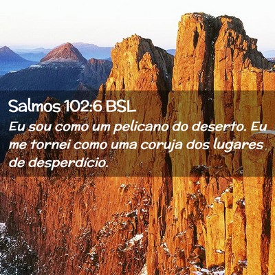 Picture 02 - Salmos 102:6 BSL - Eu sou como um pelicano do deserto. Eu me tornei - Bible Verse Picture