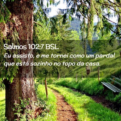 Picture 02 - Salmos 102:7 BSL - Eu assisto, e me tornei como um pardal que está - Bible Verse Picture