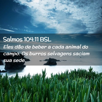 Picture 02 - Salmos 104:11 BSL - Eles dão de beber a cada animal do campo. Os - Bible Verse Picture