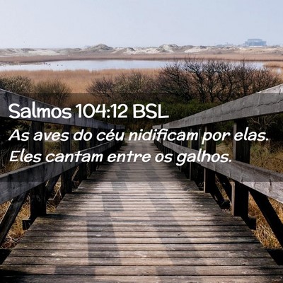 Picture 02 - Salmos 104:12 BSL - As aves do céu nidificam por elas. Eles cantam - Bible Verse Picture