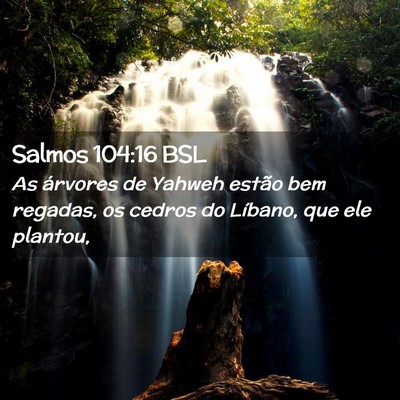 Picture 02 - Salmos 104:16 BSL - As árvores de Yahweh estão bem regadas, os - Bible Verse Picture