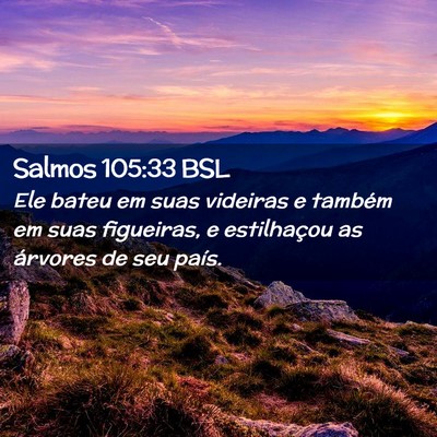 Picture 02 - Salmos 105:33 BSL - Ele bateu em suas videiras e também em suas - Bible Verse Picture