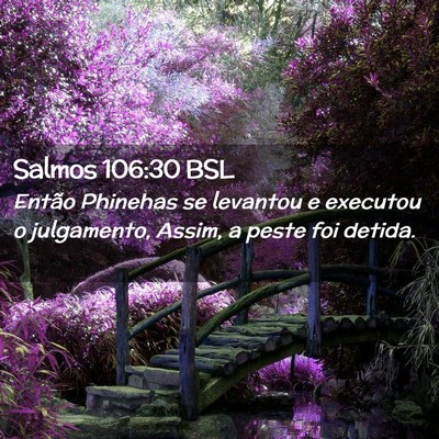 Picture 02 - Salmos 106:30 BSL - Então Phinehas se levantou e executou o - Bible Verse Picture