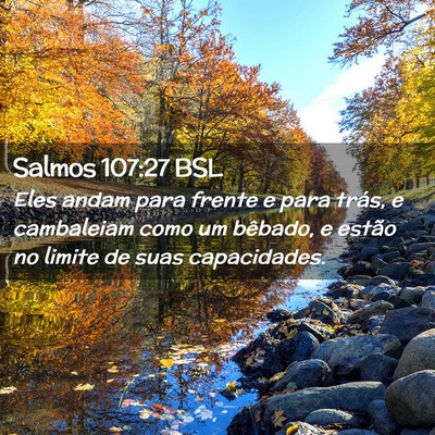 Picture 02 - Salmos 107:27 BSL - Eles andam para frente e para trás, e cambaleiam - Bible Verse Picture