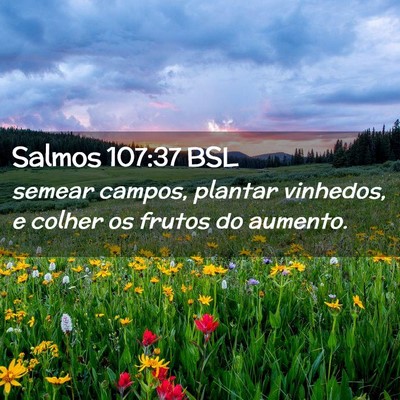 Picture 02 - Salmos 107:37 BSL - semear campos, plantar vinhedos, e colher os - Bible Verse Picture