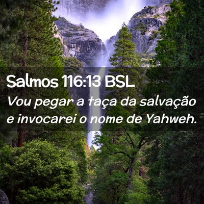 Picture 02 - Salmos 116:13 BSL - Vou pegar a taça da salvação e invocarei o - Bible Verse Picture