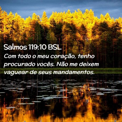 Picture 02 - Salmos 119:10 BSL - Com todo o meu coração, tenho procurado vocês. - Bible Verse Picture