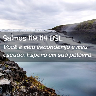 Picture 02 - Salmos 119:114 BSL - Você é meu esconderijo e meu escudo. Espero em - Bible Verse Picture