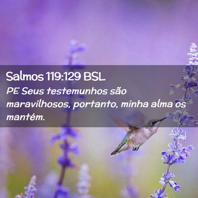 Picture 02 - Salmos 119:129 BSL - PE Seus testemunhos são maravilhosos, portanto, - Bible Verse Picture