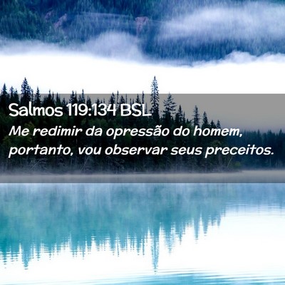 Picture 02 - Salmos 119:134 BSL - Me redimir da opressão do homem, portanto, vou - Bible Verse Picture