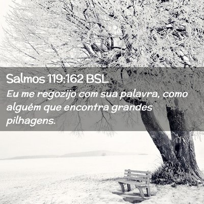 Picture 02 - Salmos 119:162 BSL - Eu me regozijo com sua palavra, como alguém que - Bible Verse Picture