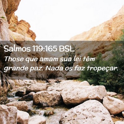 Picture 02 - Salmos 119:165 BSL - Those que amam sua lei têm grande paz. Nada os - Bible Verse Picture