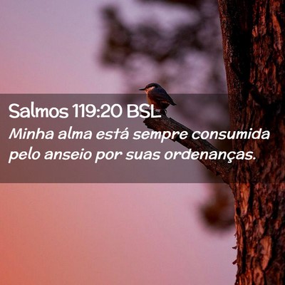 Picture 02 - Salmos 119:20 BSL - Minha alma está sempre consumida pelo anseio por - Bible Verse Picture