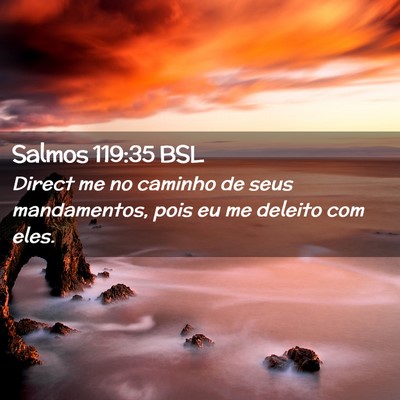 Picture 02 - Salmos 119:35 BSL - Direct me no caminho de seus mandamentos, pois eu - Bible Verse Picture