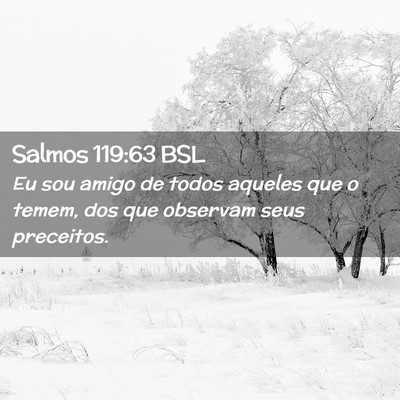 Picture 02 - Salmos 119:63 BSL - Eu sou amigo de todos aqueles que o temem, dos - Bible Verse Picture